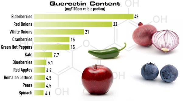 quercetin-2 quercetin-2
