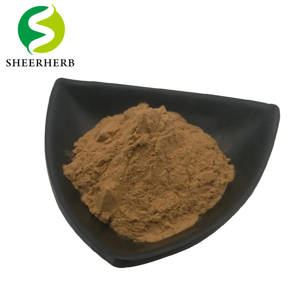 Competitive Price Senna Leaf Extract 20% Senna Leaf Gnc Sennoside
