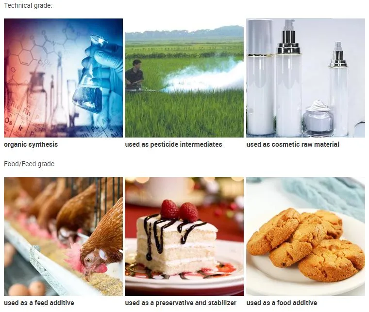 High Quality Glycine Powder with Best Price